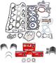 DNJ Engine Components Re-Ring Kit