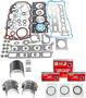 DNJ Engine Components Re-Ring Kit