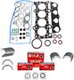 DNJ Engine Components Re-Ring Kit