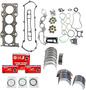 DNJ Engine Components Re-Ring Kit