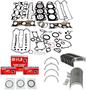 DNJ Engine Components Re-Ring Kit
