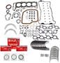 DNJ Engine Components Re-Ring Kit