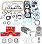 DNJ Engine Components Re-Ring Kit