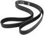 DNJ Engine Components Timing Belt