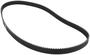 DNJ Engine Components Timing Belt