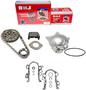 DNJ Engine Components Timing Chain Kit