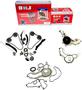 DNJ Engine Components Timing Chain Kit