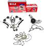 DNJ Engine Components Timing Chain Kit