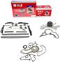 DNJ Engine Components Timing Chain Kit