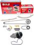 DNJ Engine Components Timing Chain Kit