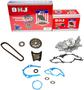 DNJ Engine Components Timing Chain Kit