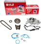 DNJ Engine Components Timing Chain Kit