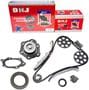 DNJ Engine Components Timing Chain Kit