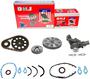 DNJ Engine Components Timing Chain Kit