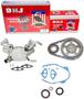 DNJ Engine Components Timing Chain Kit