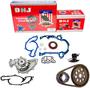DNJ Engine Components Timing Chain Kit