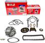 DNJ Engine Components Timing Chain Kit