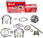 DNJ Engine Components Timing Chain Kit