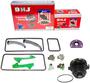 DNJ Engine Components Timing Chain Kit