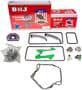 DNJ Engine Components Timing Chain Kit