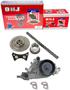 DNJ Engine Components Timing Chain Kit