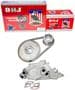 DNJ Engine Components Timing Chain Kit