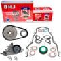 DNJ Engine Components Timing Chain Kit