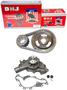 DNJ Engine Components Timing Chain Kit