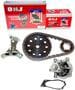 DNJ Engine Components Timing Chain Kit