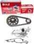 DNJ Engine Components Timing Chain Kit