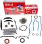 DNJ Engine Components Timing Chain Kit