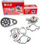 DNJ Engine Components Timing Chain Kit
