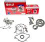 DNJ Engine Components Timing Chain Kit