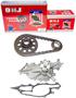 DNJ Engine Components Timing Chain Kit