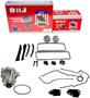 DNJ Engine Components Timing Chain Kit