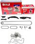 DNJ Engine Components Timing Chain Kit