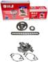 DNJ Engine Components Timing Chain Kit