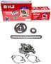 DNJ Engine Components Timing Chain Kit