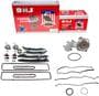 DNJ Engine Components Timing Chain Kit