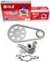 DNJ Engine Components Timing Chain Kit