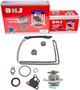 DNJ Engine Components Timing Chain Kit