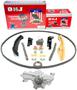 DNJ Engine Components Timing Chain Kit