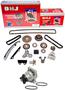 DNJ Engine Components Timing Chain Kit