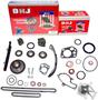 DNJ Engine Components Timing Chain Kit