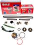 DNJ Engine Components Timing Chain Kit
