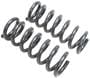 Dorman OE Solutions Coil Spring Set