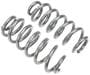Dorman OE Solutions Coil Spring Set