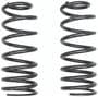 Dorman OE Solutions Coil Spring Set