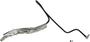 Dorman OE Solutions Clutch Line