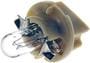 Dorman OE Solutions White Incandescent Bulb